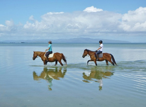 horseriding.jpg