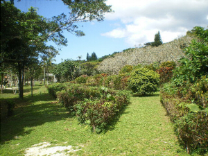 syokubutsuen.jpg