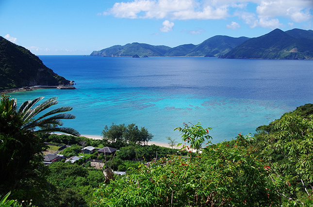 奄美大島の海