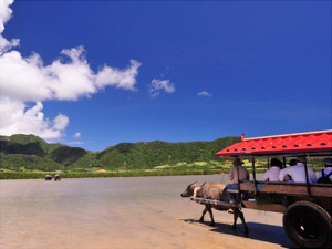 亜熱帯植物楽園　由布島