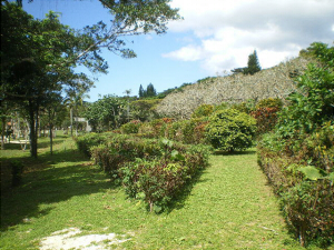 宮古島市熱帯植物園