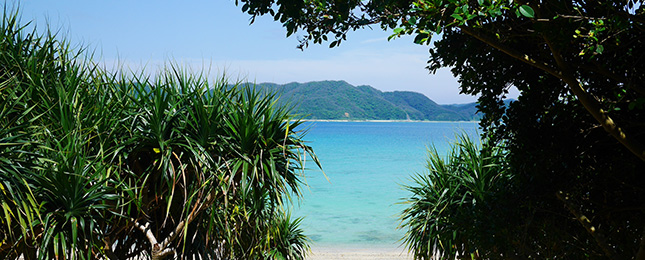 奄美大島