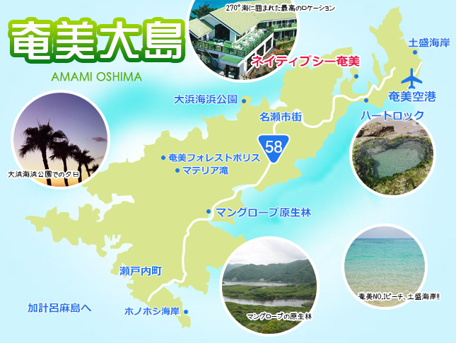 奄美大島地図
