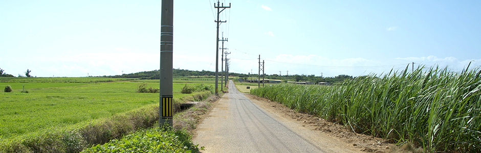 小浜島へ行こう