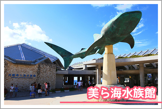 美ら海水族館