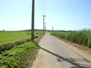 小浜島