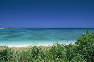 沖縄って意外と行きやすい！？ライブ遠征+プチ観光の旅に出よう！沖縄旅行お役立ち情報まとめ