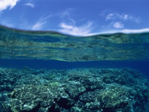 世界が恋する慶良間諸島の海！初めての方にもおすすめの島＆行き方は？