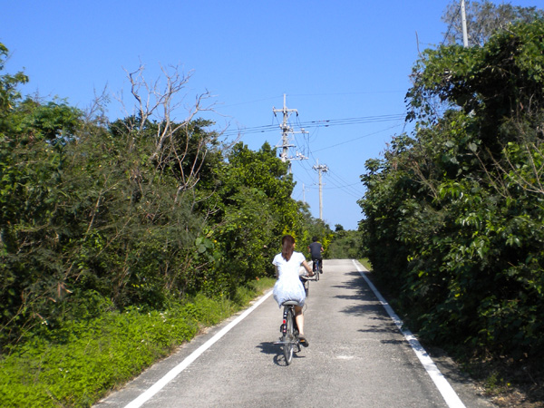 竹富島レンタサイクル