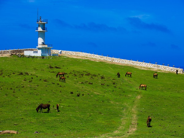 初めての与那国島旅行。定番の観光スポットやお食事お土産情報。おすすめの与那国島ツアーは？
