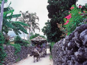 一人旅で沖縄へ！おすすめの離島ランキング