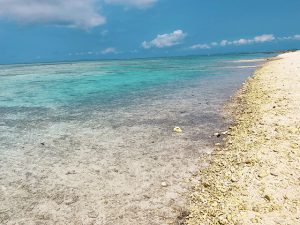 ２泊３日のレンタカーなし沖縄旅行＜計画・相談・予約編＞