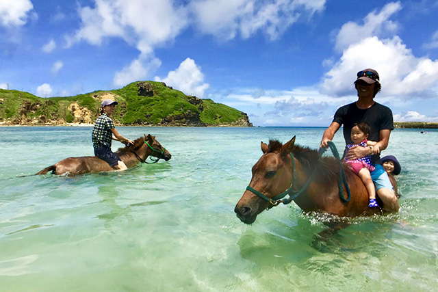 与那国島で乗馬体験 ヨナグニウマと陸でも海でもふれあえる ちまんま広場