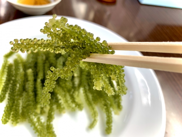 沖縄の名物 海ぶどう ってなに お土産にできるの 食べ方は