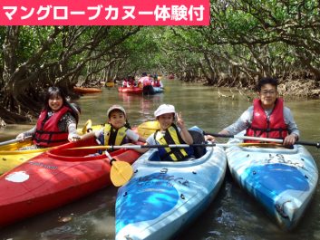 マングローブカヌー付奄美大島