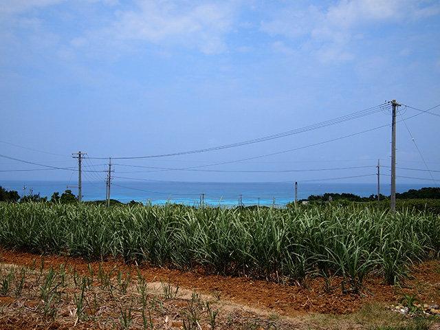 波照間島