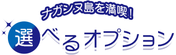 ナガンヌ島を満喫！選べるオプション