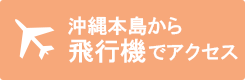 飛行機でアクセスする離島