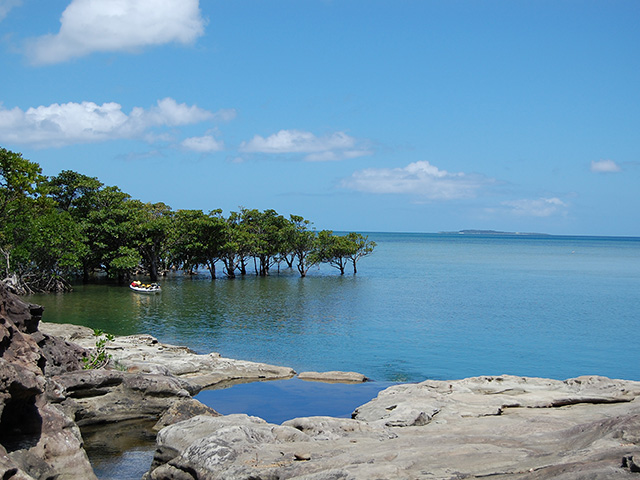 西表島