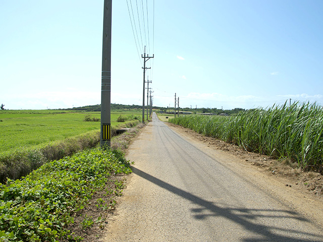 小浜島