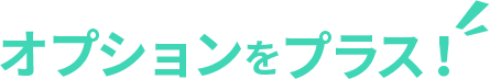 観光にオプションをプラス