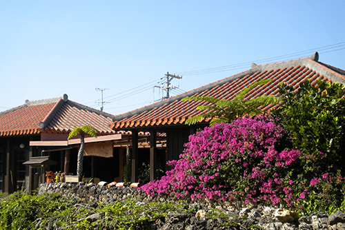 石垣島から行く八重山諸島（竹富島）