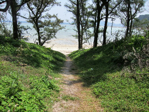 トウマの浜